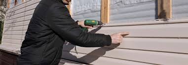 Best Siding Repair  in Dixon, KY